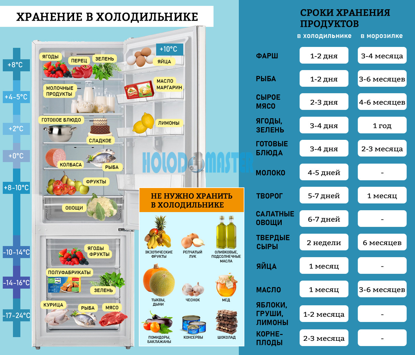 Правильное хранение продуктов в холодильнике по полкам с фото пошагово